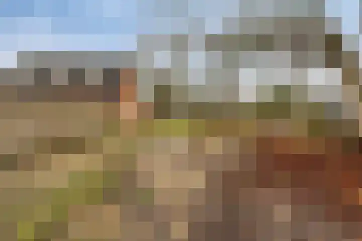 Plantsoen 47 De Wilp thumbnail 46
