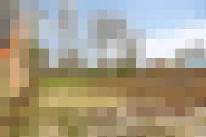 Plantsoen 47 De Wilp thumbnail 47