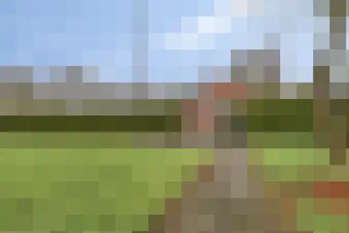 Plantsoen 47 De Wilp thumbnail 48
