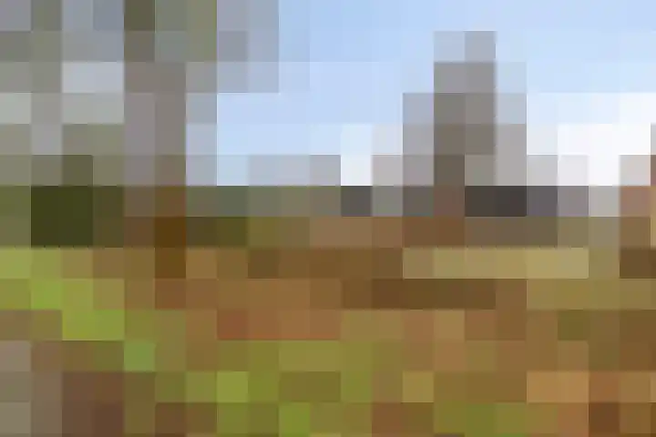 Plantsoen 47 De Wilp thumbnail 49