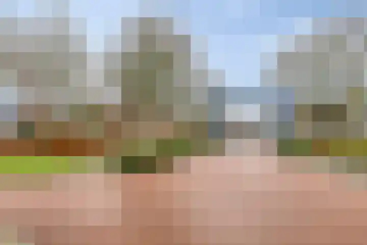 Plantsoen 47 De Wilp thumbnail 50