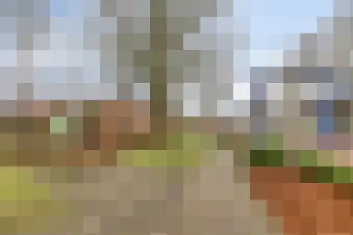 Plantsoen 47 De Wilp thumbnail 51