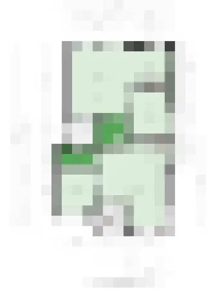 Plantsoen 47 De Wilp thumbnail 53