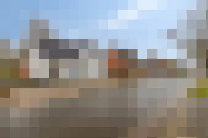 Plantsoen 47 De Wilp thumbnail 6