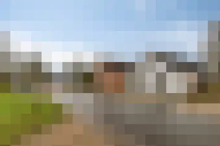 Plantsoen 47 De Wilp thumbnail 7