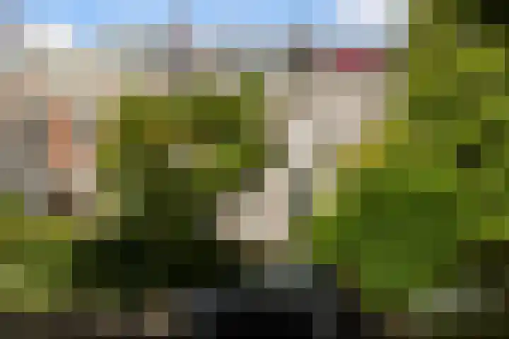 Plantsoen 53 in Leiden