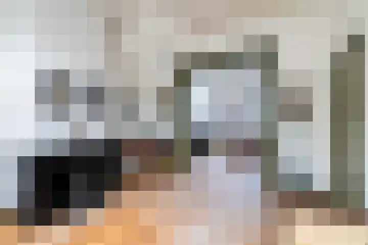 Plantsoen 53 Leiden thumbnail 4