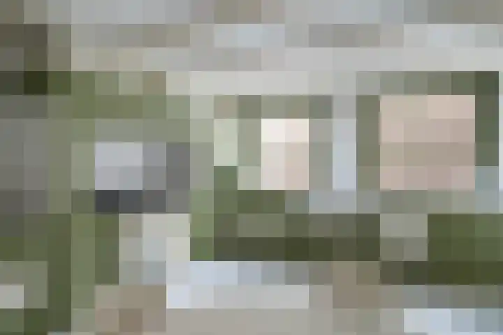 Plantsoen 53 Leiden thumbnail 44