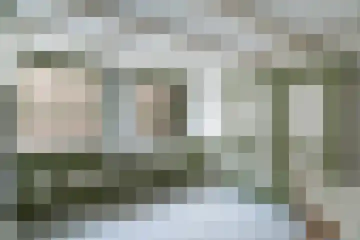 Plantsoen 53 Leiden thumbnail 45