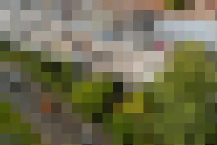 Plantsoen 53 Leiden thumbnail 6