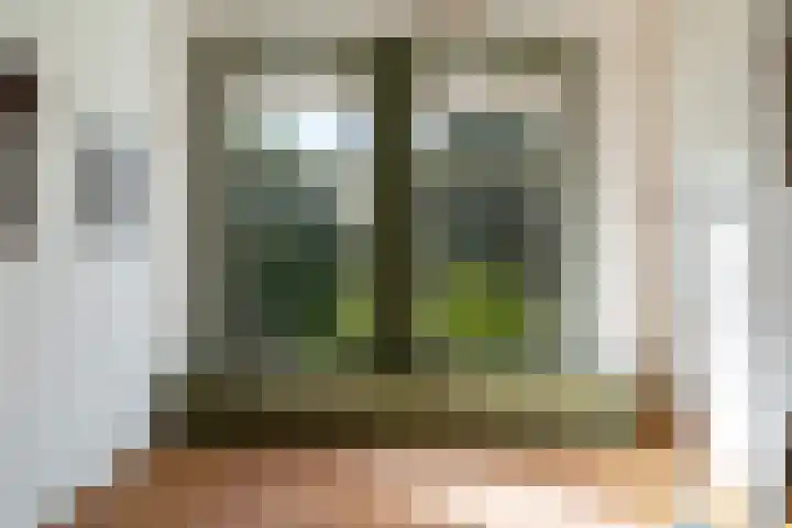 Plantsoen 53 Leiden thumbnail 61