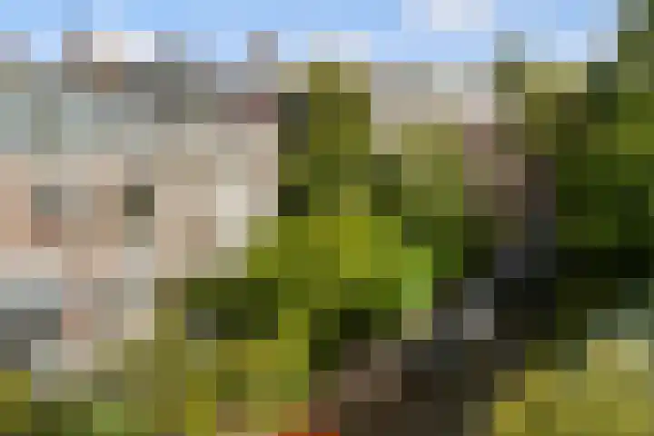Plantsoen 53 Leiden thumbnail 7