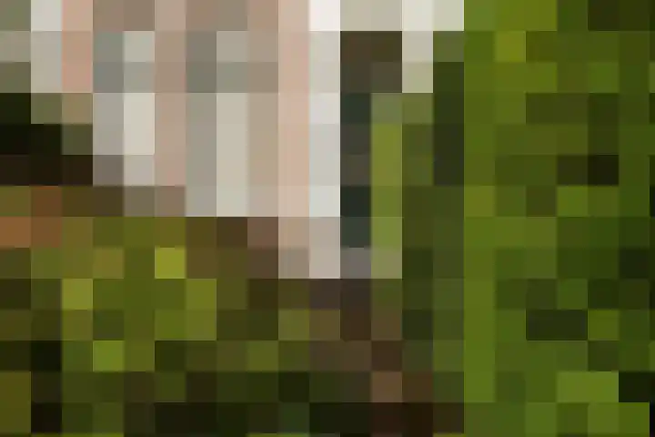 Plantsoen 53 Leiden thumbnail 77