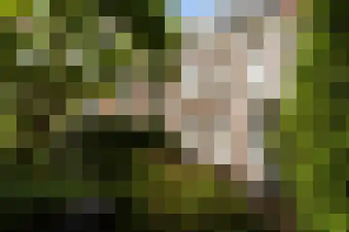 Plantsoen 53 Leiden thumbnail 8