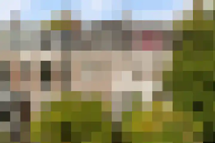 Plantsoen 53 Leiden thumbnail 81