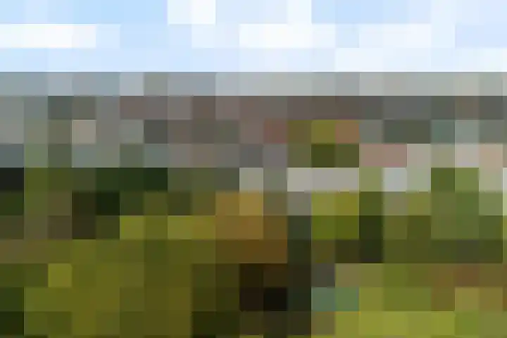 Plantsoen 53 Leiden thumbnail 83