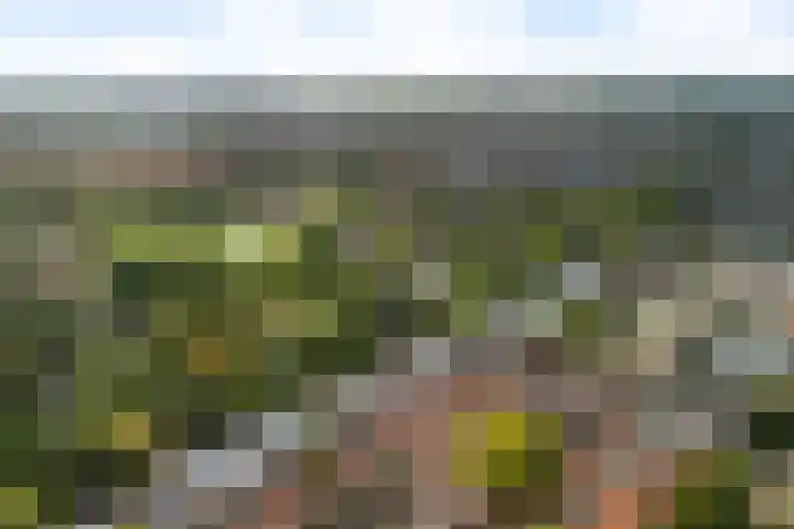 Plantsoen 53 Leiden thumbnail 85