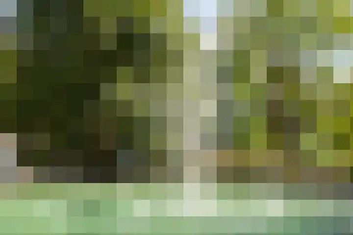 Plantsoen 53 Leiden thumbnail 87