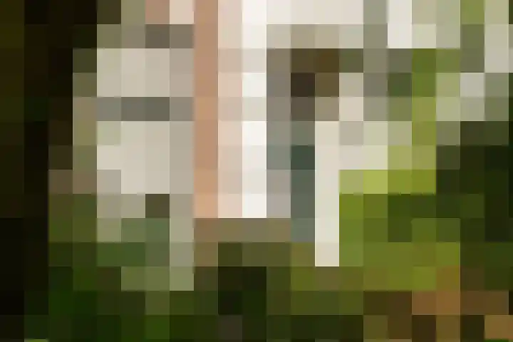 Plantsoen 53 Leiden thumbnail 9