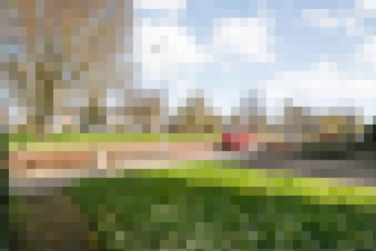 Plantsoen 55 Vroomshoop thumbnail 10