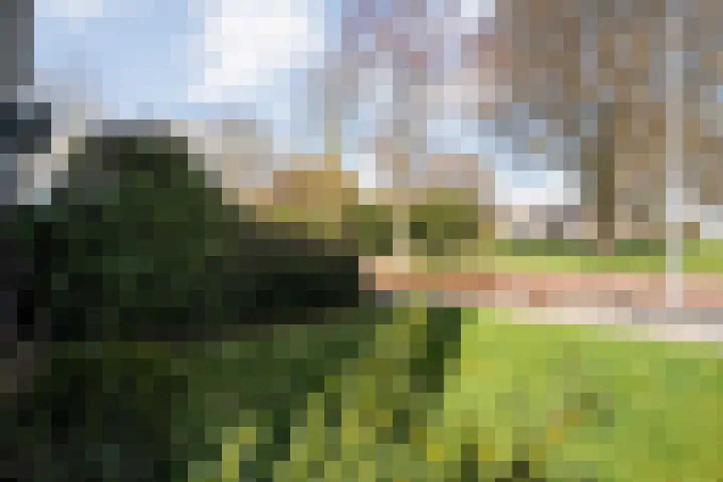 Plantsoen 55 Vroomshoop thumbnail 11