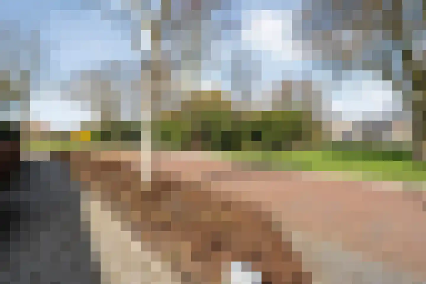 Plantsoen 55 Vroomshoop thumbnail 12