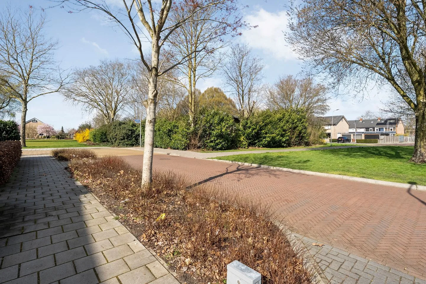 Plantsoen 55 Vroomshoop thumbnail 12