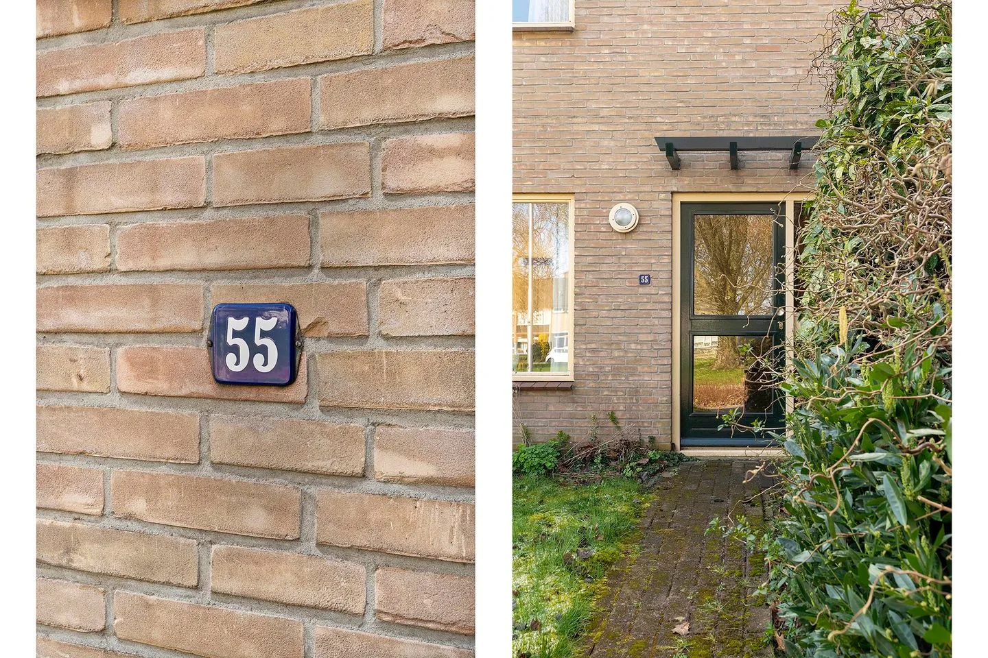 Plantsoen 55 Vroomshoop thumbnail 14