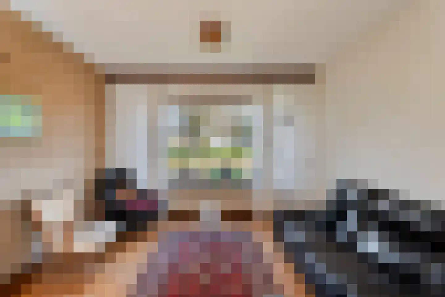 Plantsoen 55 Vroomshoop thumbnail 19