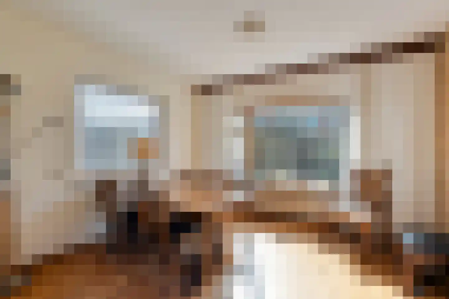 Plantsoen 55 Vroomshoop thumbnail 22