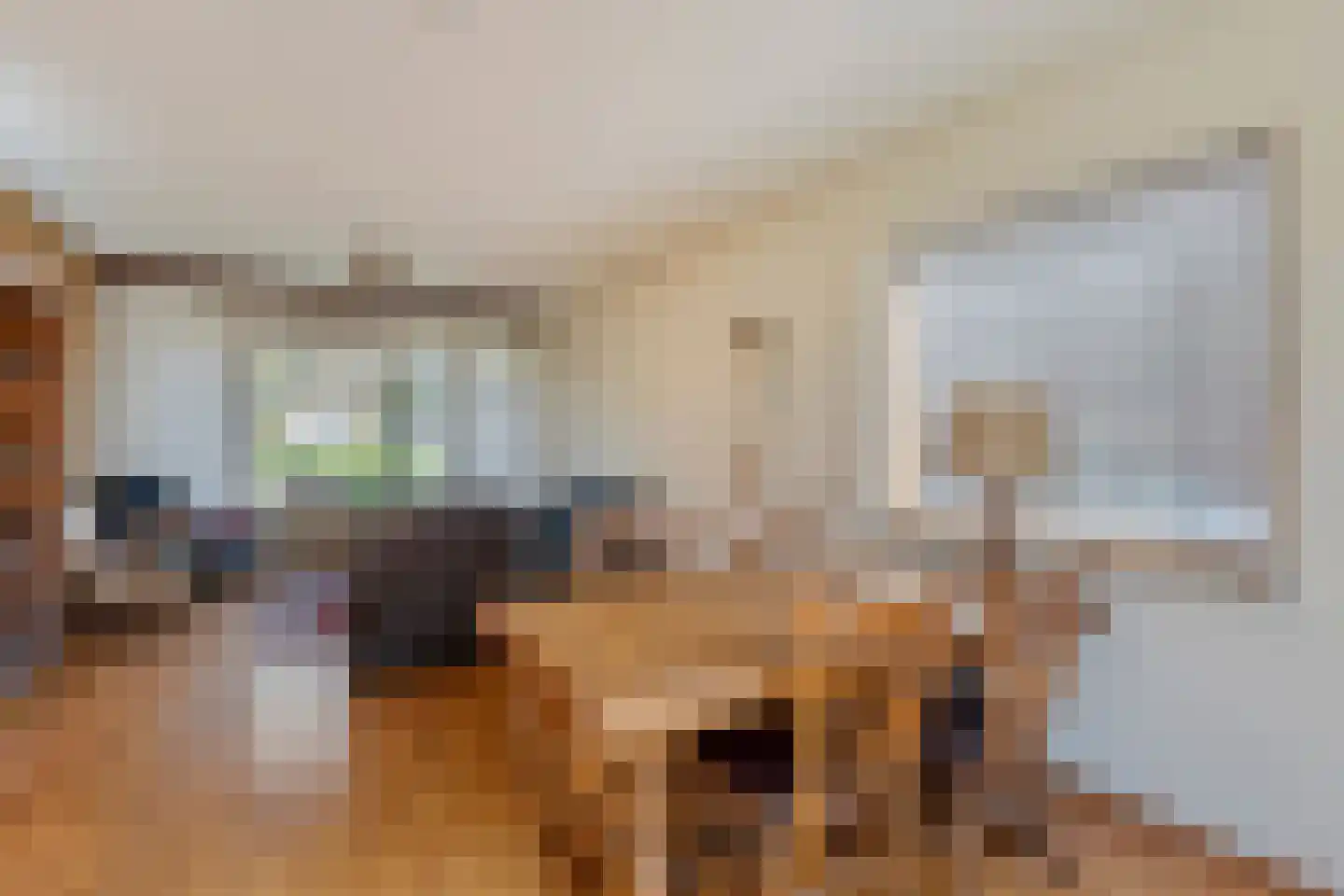 Plantsoen 55 Vroomshoop thumbnail 23