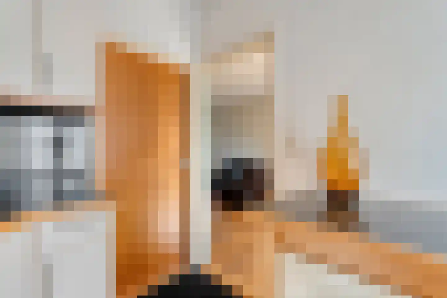 Plantsoen 55 Vroomshoop thumbnail 28