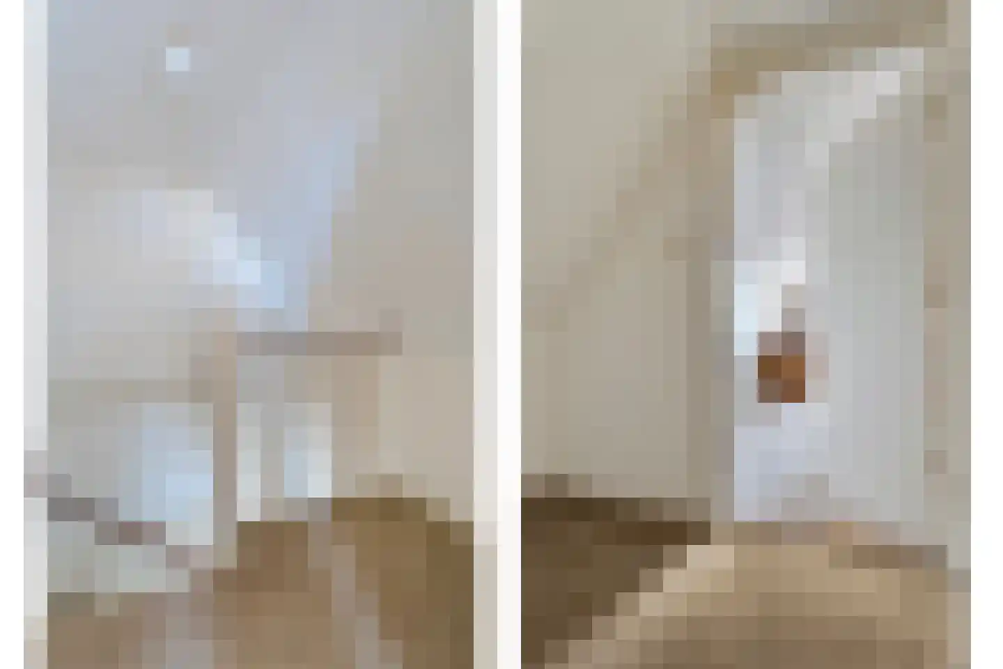 Plantsoen 55 Vroomshoop thumbnail 39