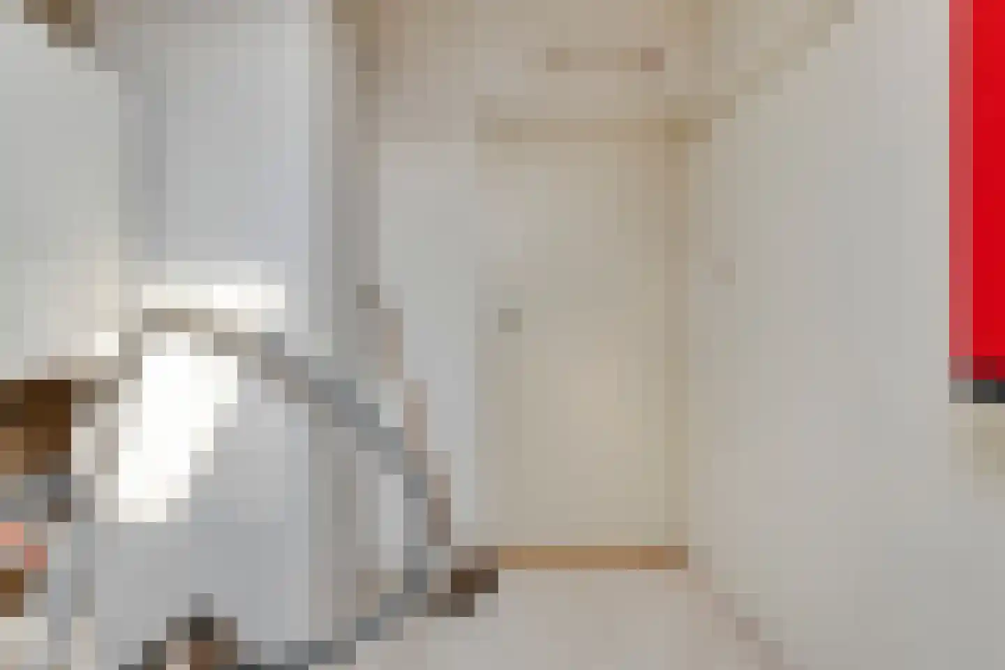 Plantsoen 55 Vroomshoop thumbnail 43