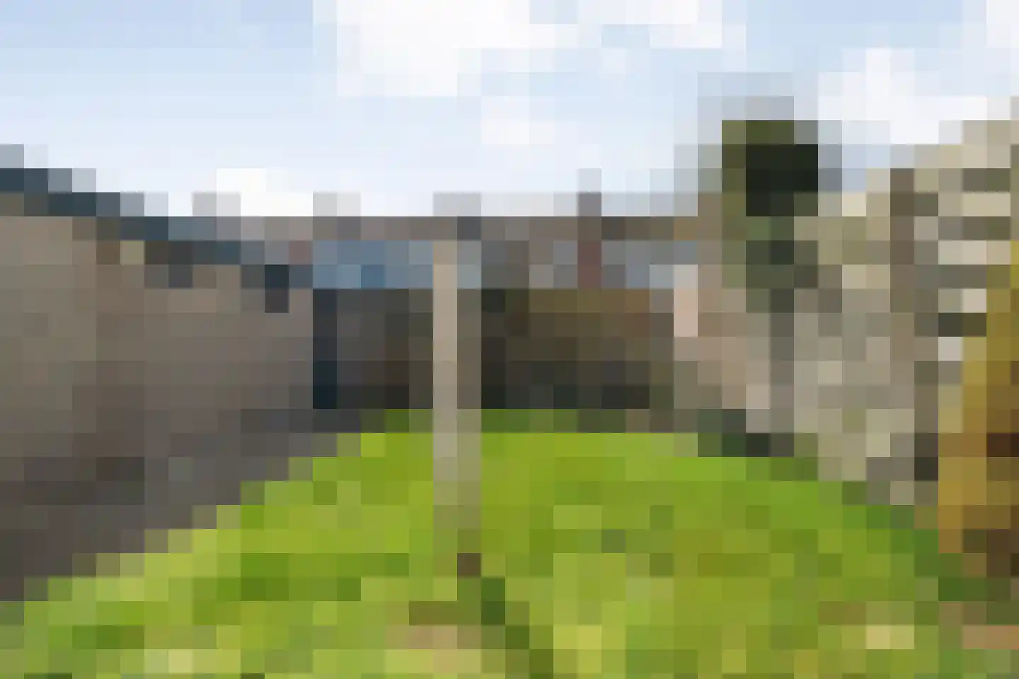 Plantsoen 55 Vroomshoop thumbnail 45