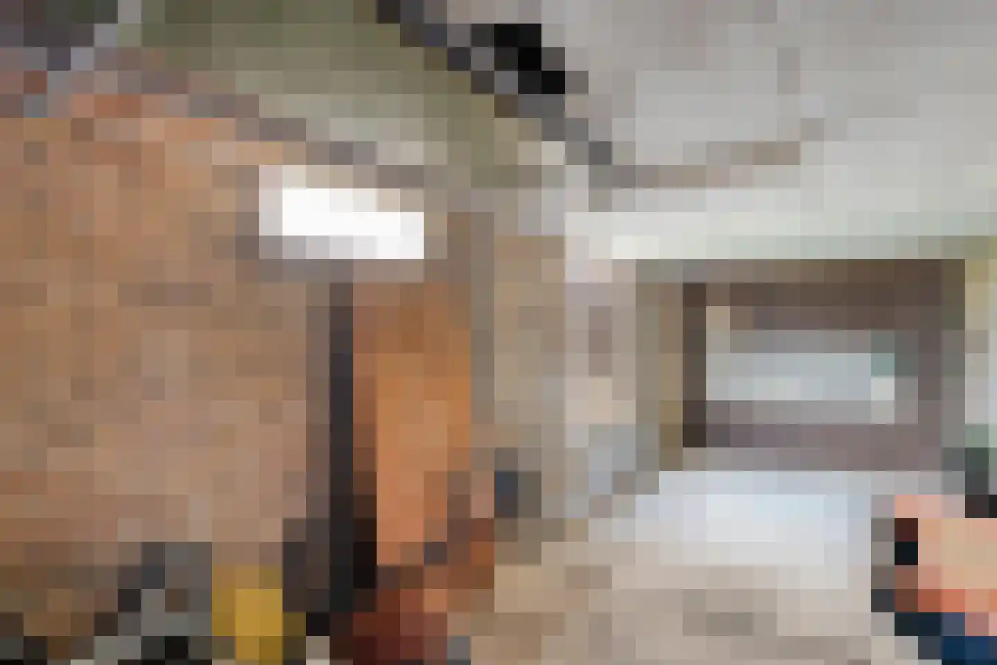 Plantsoen 55 Vroomshoop thumbnail 46