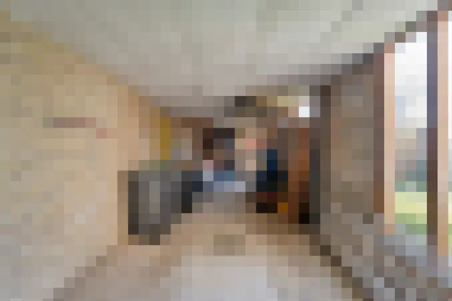 Plantsoen 55 Vroomshoop thumbnail 47