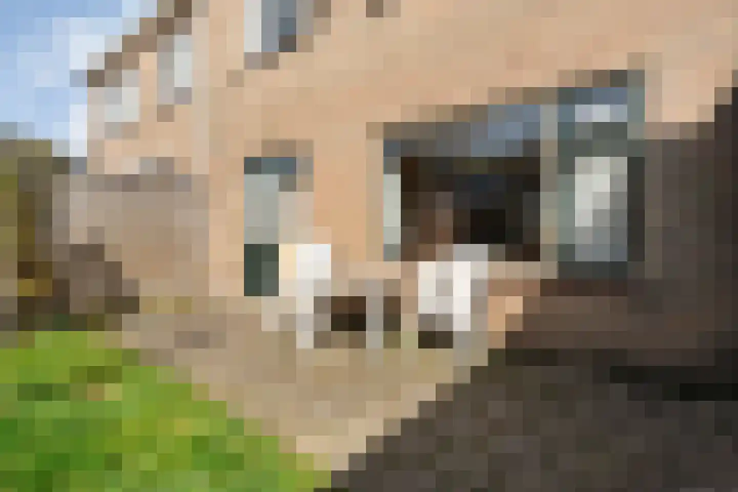 Plantsoen 55 Vroomshoop thumbnail 49