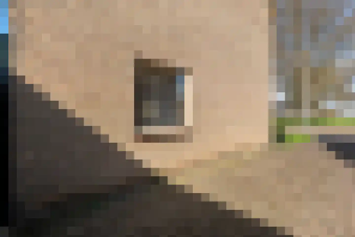 Plantsoen 55 Vroomshoop thumbnail 8