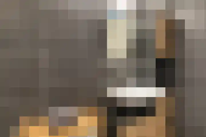 Plantsoen 7 1 Woerden thumbnail 18
