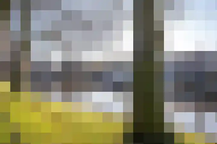 Plantsoen 7 36 Woerden thumbnail 42