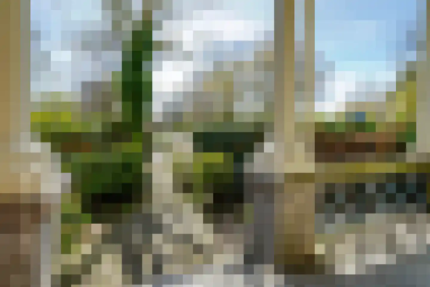 Plantsoen 71 Leiden thumbnail 4