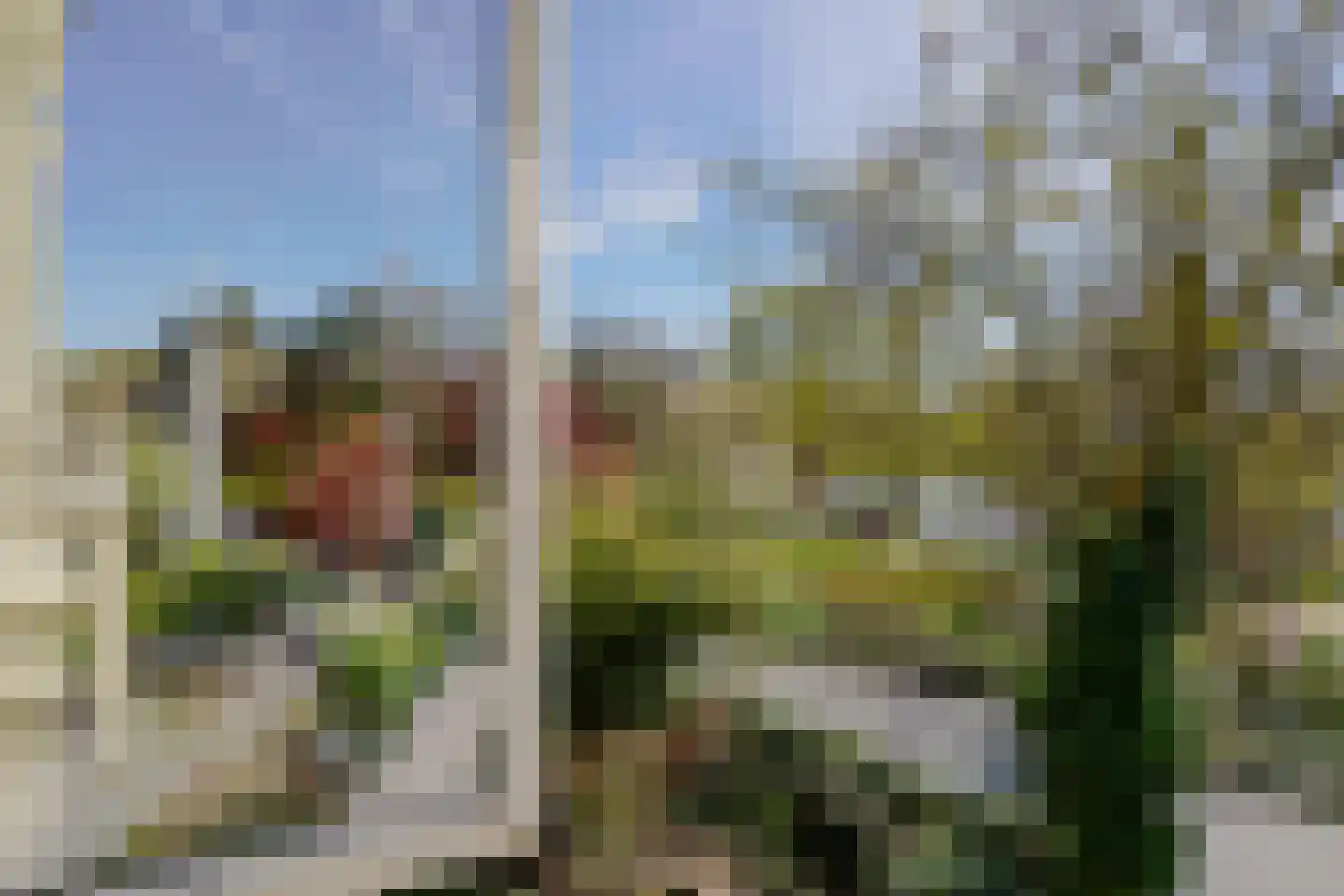 Plantsoen 71 Leiden thumbnail 44
