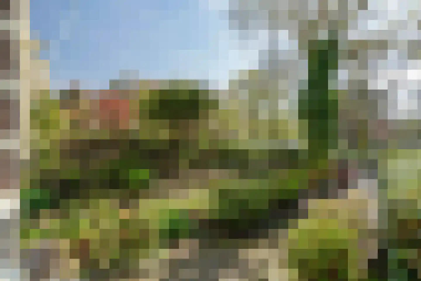 Plantsoen 71 Leiden thumbnail 5