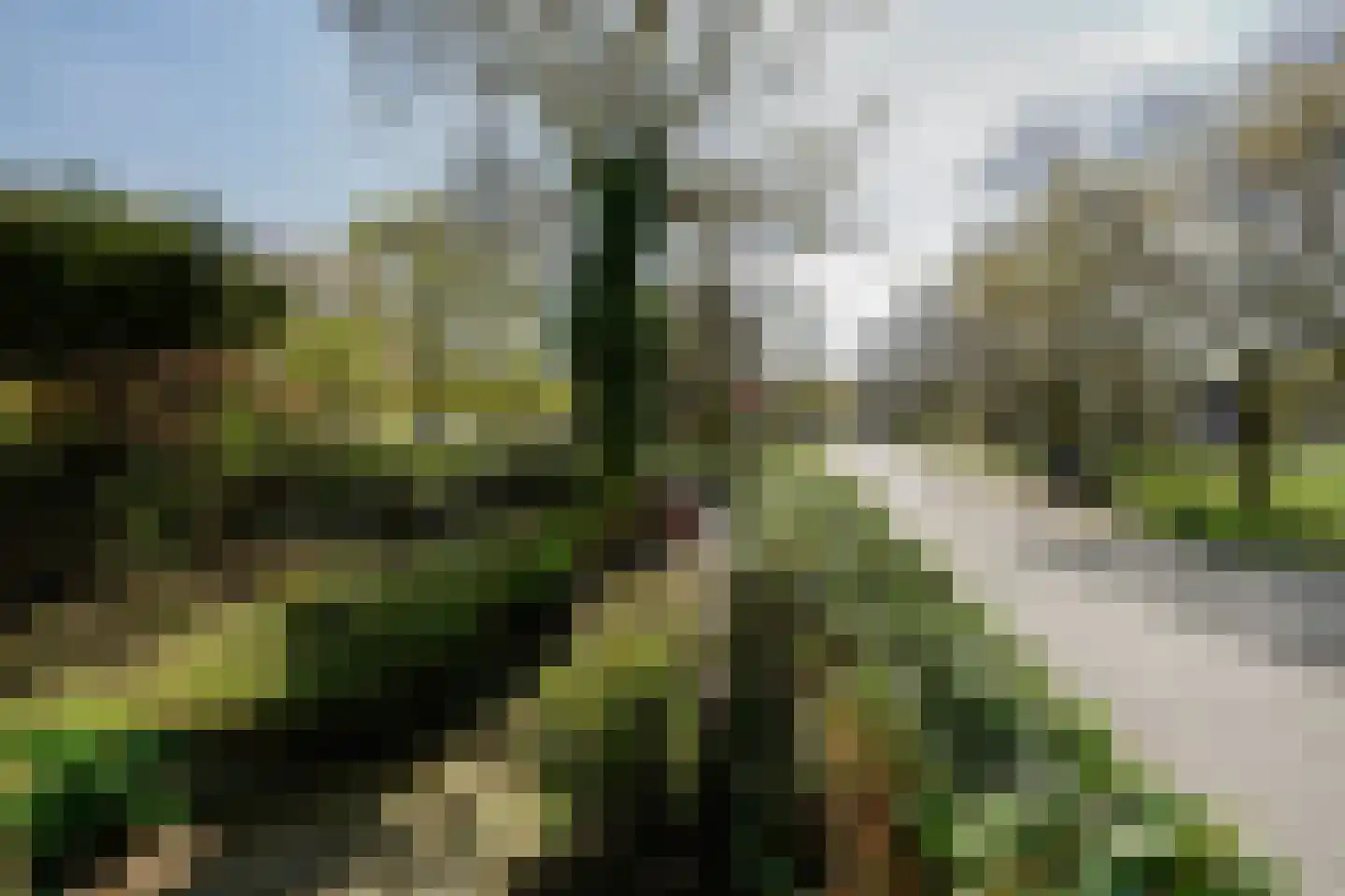 Plantsoen 71 Leiden thumbnail 6