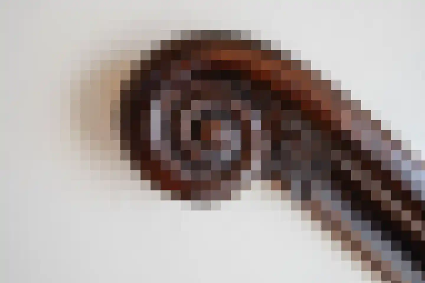 Plantsoen 71 Leiden thumbnail 63