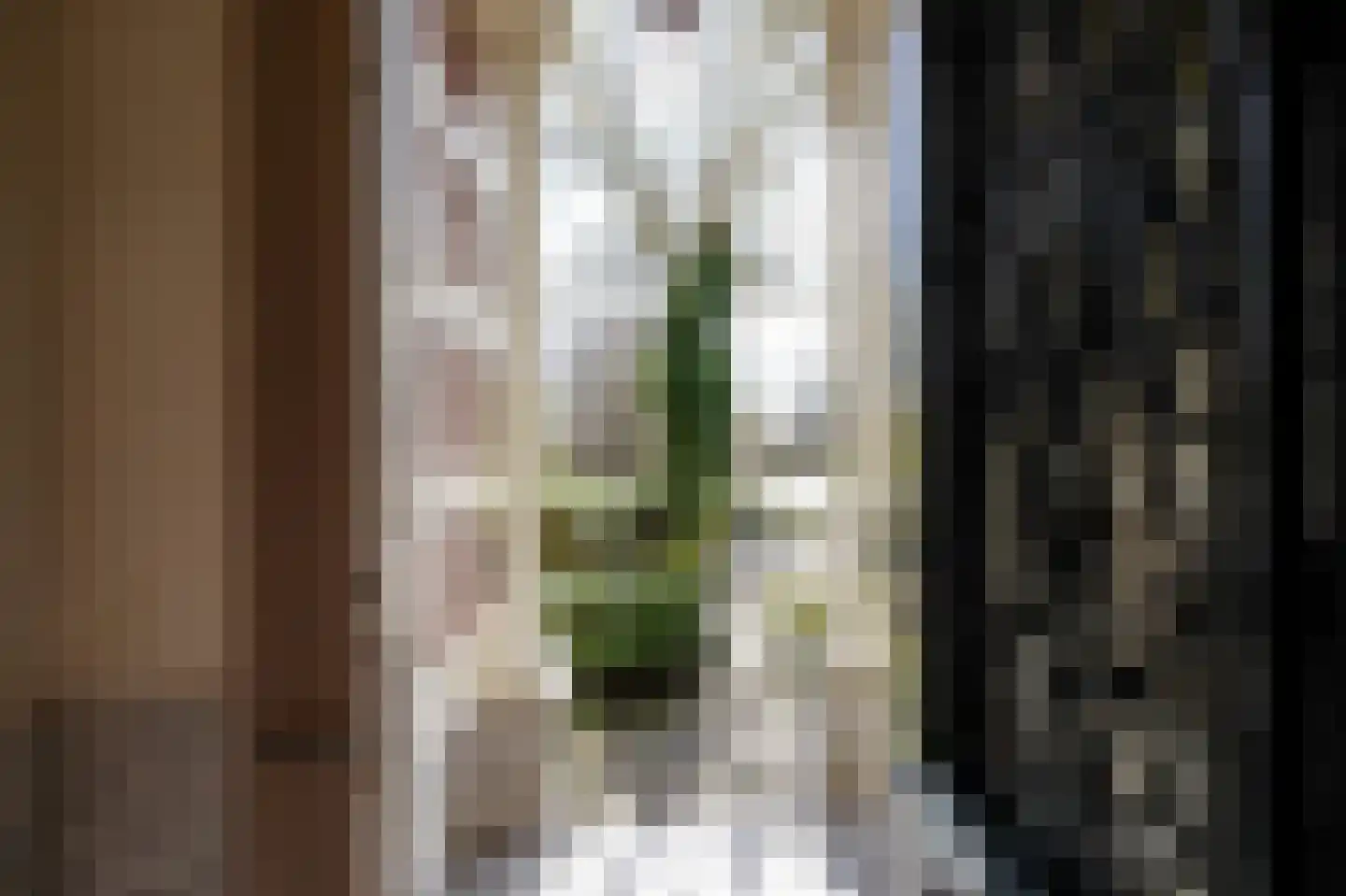 Plantsoen 71 Leiden thumbnail 8