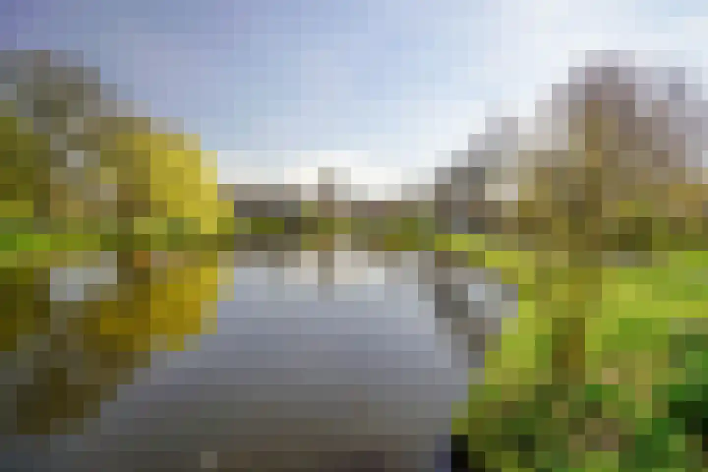 Plantsoen 71 Leiden thumbnail 89