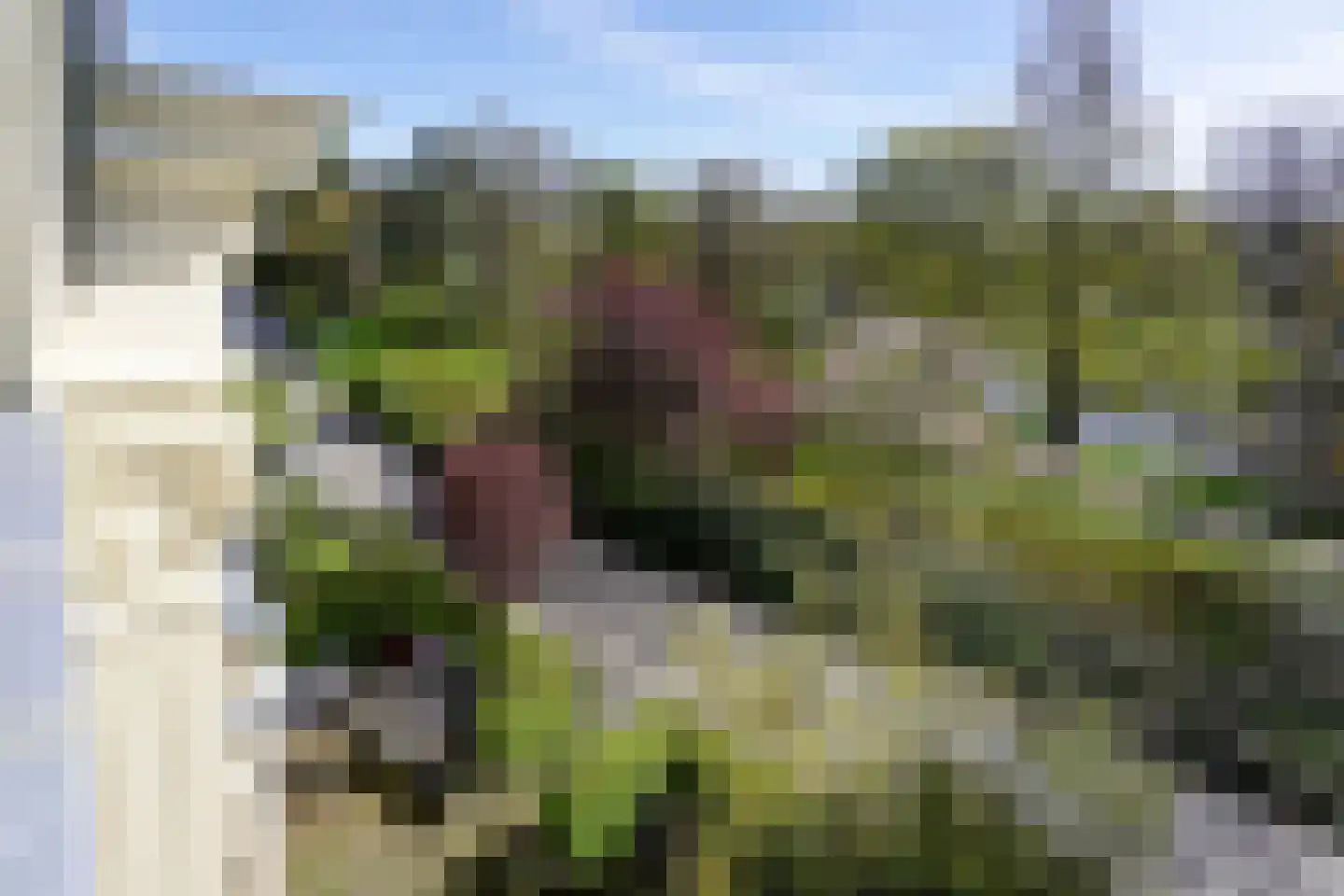 Plantsoen 71 Leiden thumbnail 92