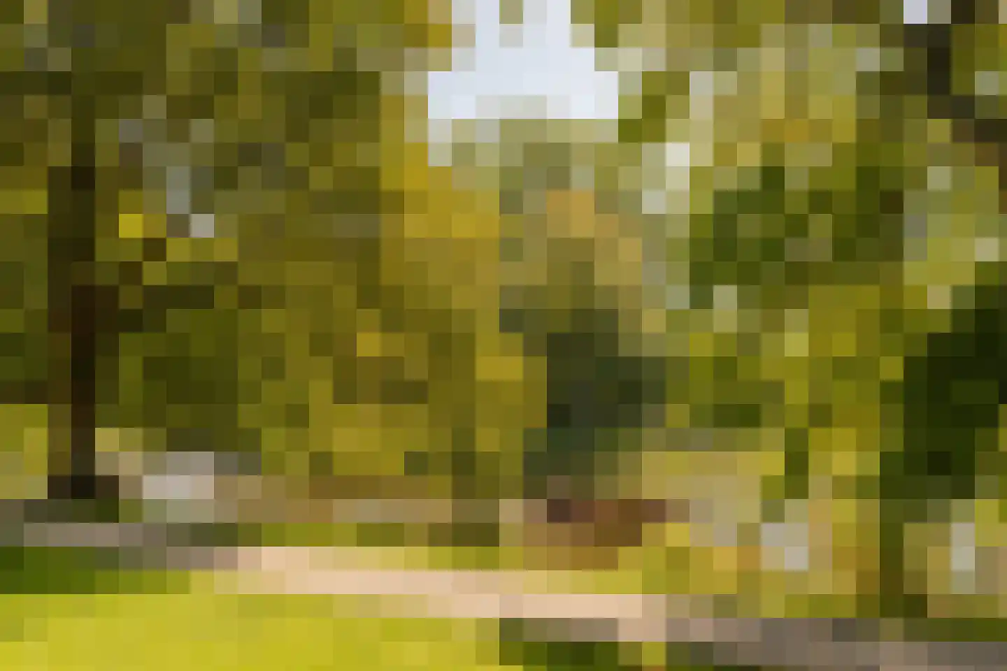 Plantsoen 79 Leiden thumbnail 17